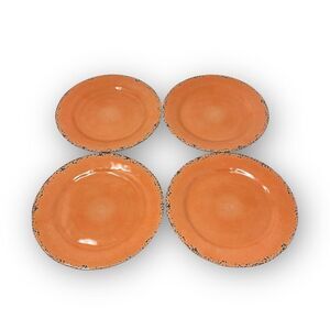 Tommy Bahama Rustic Crackle Melamine Dinner Plates Set of 4 Breakproof Coral